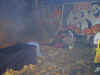halloween10.jpg (21967 bytes)